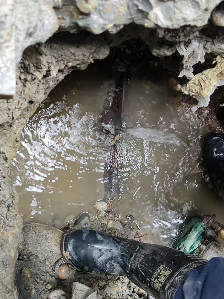 湾沚地区绿化水管漏水检测维修